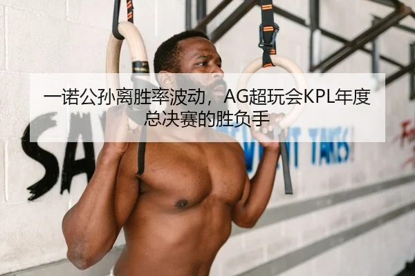 一诺公孙离胜率波动，AG超玩会KPL年度总决赛的胜负手